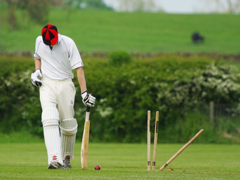 Cricket: A Comprehensive Update!